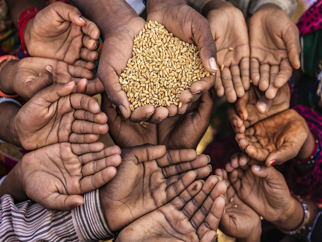 Feed The Poor During Global Crisis